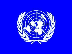 भारत ने संयुक्त राष्ट्र में कहा आतंकवाद कतई बर्दाश्त नहीं