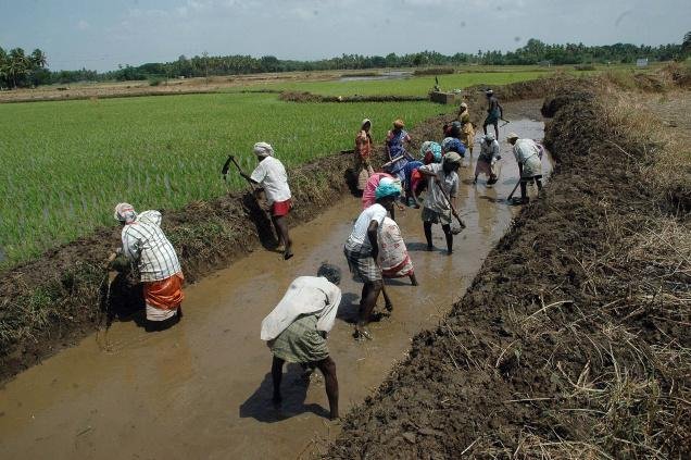 मनरेगा को ख़त्म करने के प्रयास का  28 ख्यात अर्थशास्त्रीयों ने मोदी को पत्र लिख विरोध  किया